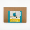 Bergin & Bath Needle Felting kit Budgie. Make a Blue
