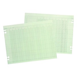 Wilson Jones G1010 Accounting Sheets, 10 Column, 9-1/4 x 11-7/8, Green (Pack of 100 Loose Sheets)