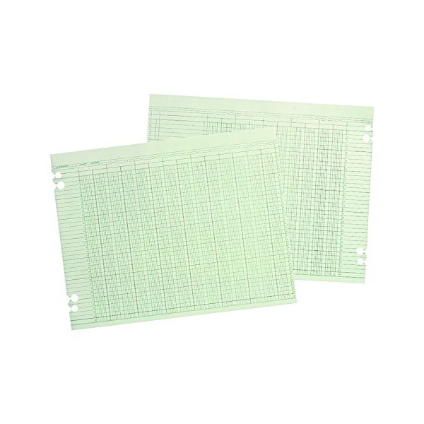 Wilson Jones G1010 Accounting Sheets, 10 Column, 9-1/4 x 11-7/8,
