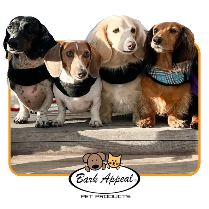 Bark Appeal Blue Wrap N Go Dog Harness for Small-Medium