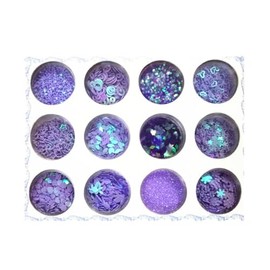 Glitter-12 Colors Festival Holographic Cosmetic Powder for Face, Body, Eye, Hair, Nail and DIY Art,Friendly Cosmetic(Purple suit)