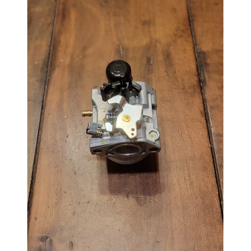 Honda NEW Genuine HONDA Carburetor GCV160LA1 GCV190LA 16100-Z8B-842 OEM