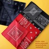 Molain Pack of 3 Unisex Paisley Bandanas Cowboy Bandana Multifunctional