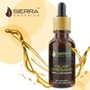Oil of Oregano, Sierra Organics, Super Strength 80 Carvacrol- 30ml