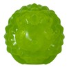 JW Squeaky Dog Ball Small