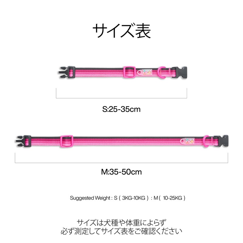 Dog Collar, Basic Collar for Dogs, Dog Collar, Training Collar