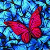 Craft Buddy Crystal Art CCK-A41 Mandala, 18 x 18 cm