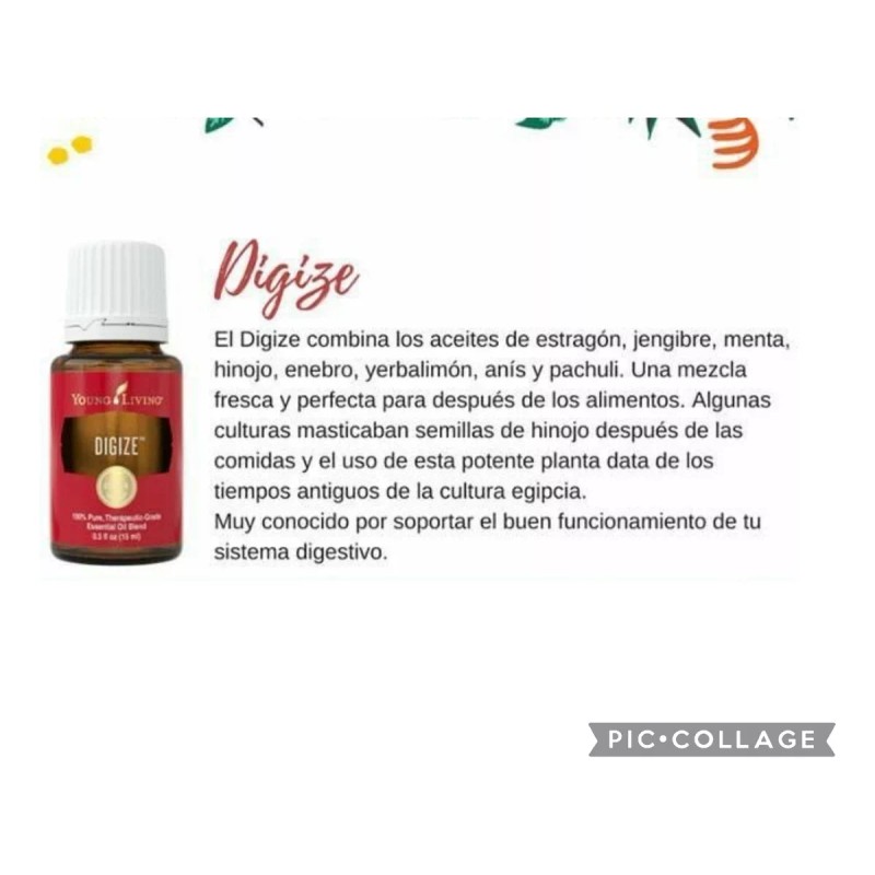 Young Living Aceite Esencial Digize, Mezcla Digestiva Young Living 15