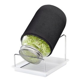 Westmark Sprossenglas Set, 1 STK. – Sprossen Anzuchtset mit Edelstahl-Siebdeckel & Abtropfgestell – Für Sprossen Samen, Microgreens & mehr – 2000 ml