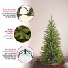 National Tree Company Artificial Slim Christmas Tree, Green, Kingswood Fir,