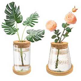 Dormercy 2Pcs Plants Propagation Station, Desktop Glass Planter Terrarium Vase with Wooden Lid&Tray, Plant Lover Gift (Hammer&Plain Glass)