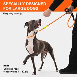 BeauGo Slip Leash Professional Dog Training,Lead to Stop Pulling,Perfect for Walks,sturdyand Durable, Leash Suitable for Small, Medium, and Large Dog 6FT(Green2/5in)