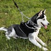 JIPIMON Prong Collar Safety Clip Stainless Steel Dog Safety Clip,