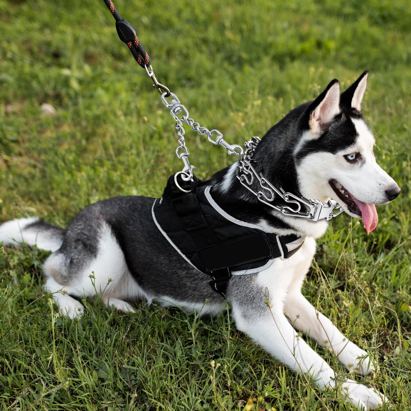 JIPIMON Prong Collar Safety Clip Stainless Steel Dog Safety Clip,