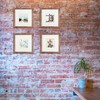 TOFOREVO 8x8 Square Picture Frames Set of 6 Rustic Wood
