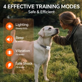 Dog Shock Collar - 3300 FT Dog Training Collar with Remote, IP67 Waterproof, 4 Training Modes Lighting, Beep, Vibration, Safe Shock, Dual Channel E-Collar with Safety Lock for All Breed (8-120LBs)