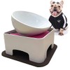 JYHY Bulldog Bowl Ceramic Dog Food Bowl-Replacement Bowl（Only Bowl, no
