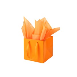 LFCXHTY 10 Pack Square Gift Bags with Tissue Paper Solid Small Orange Gift Bags with Handles for Party Favor Bag (6x6x6 In, Orange)