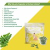 Go-Lacta 100% Organic Premium Moringa Capsules for Breastfeeding - Build