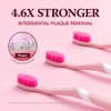HIMALAYA PINKSALT Natural Toothbrush - Medium Toothbrushes for Adults, Plaque