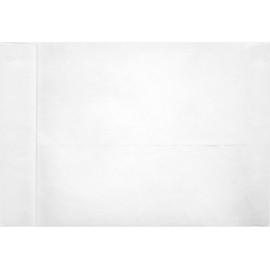 9 x 12 Open End Envelopes - 11lb. Tyvek (50 Qty) | Perfect for mailing Documents, Catalogs, Direct Mail, Promotional Material, Brochures and More | PC1102PL-50