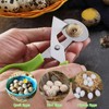 Wisebom Quail Egg Scissors, Stainless Steel, Pack of 6 Quail