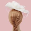 DRESHOW Fascinators Hat Mesh Veil Feathers Hat with a Headband