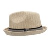 Peter Grimm Depp Fedora Hat, Natural Grey/Black, Large-X-Large