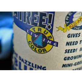 The Jonsteen Company Colorado Blue Spruce | Tree Seed Grow Kit | The Jonsteen Company