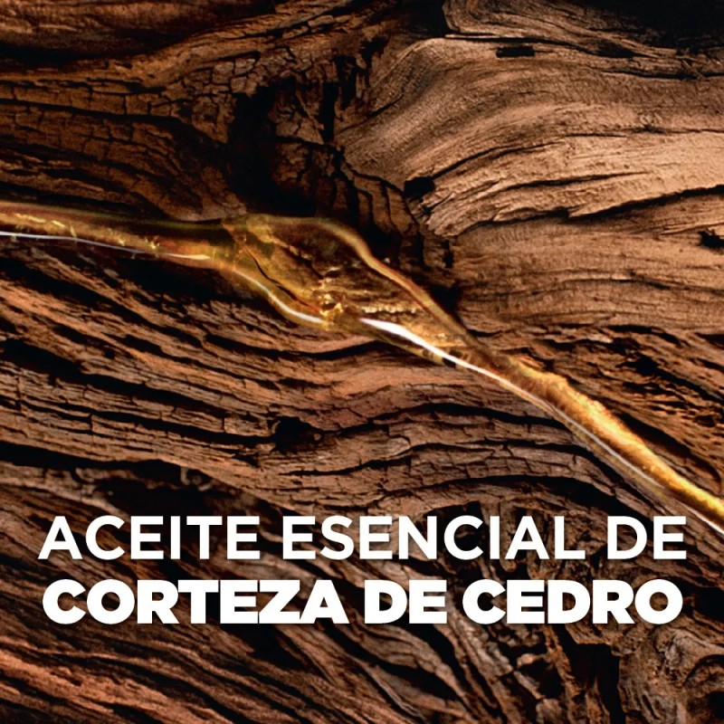 Shampoo L'Oréal Paris Men Expert para Barba, Rostro y Cabello