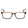 Calabria L2007 Gafas de Lectura +1.75 Tortuga Havana Hombres Mujeres