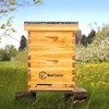 BeeCastle 8 Frame Langstroth Bee Hive Coated with Beeswax Includes