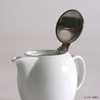 Zero Japan BBN-01 Universal Teapot for 2 People, AM Aquamist