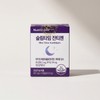 Nutri D Day Slim Time Xantizen 14 tablets 2 pcs 1 / 뉴트리디데이 슬림타임 잔티젠 14정 2개 1개