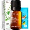 Gya Labs Melissa Essential Oil for Diffuser & Tea Tree