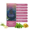 Peppermint Boost by Térapy Ceylon (2 pack) - Premium Ayurvedic
