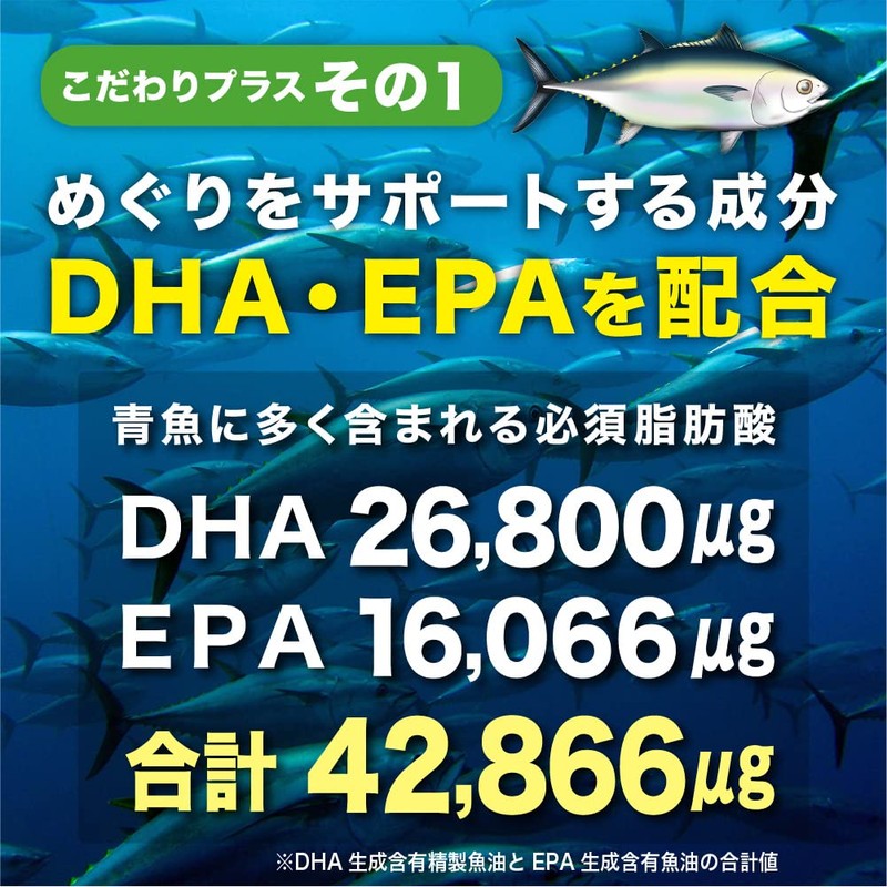 シードコムス イチョウ葉エキス サプリメント 30粒 DHA EPA 配合