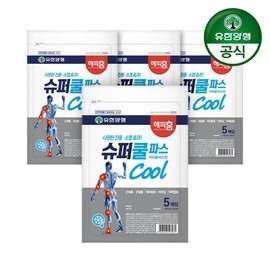 Happy Home Super Cool Pas 5 Sheets 4 / 해피홈 슈퍼쿨파스 5매 4개