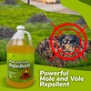 Natural Elements Mole and Vole Repellent | 100% Castor Oil