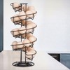 Toplife Spiral Design Metal Egg Skelter Dispenser Rack, Storage Display