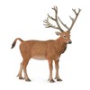 Collecta - Milu - L - 88829 (90188829)