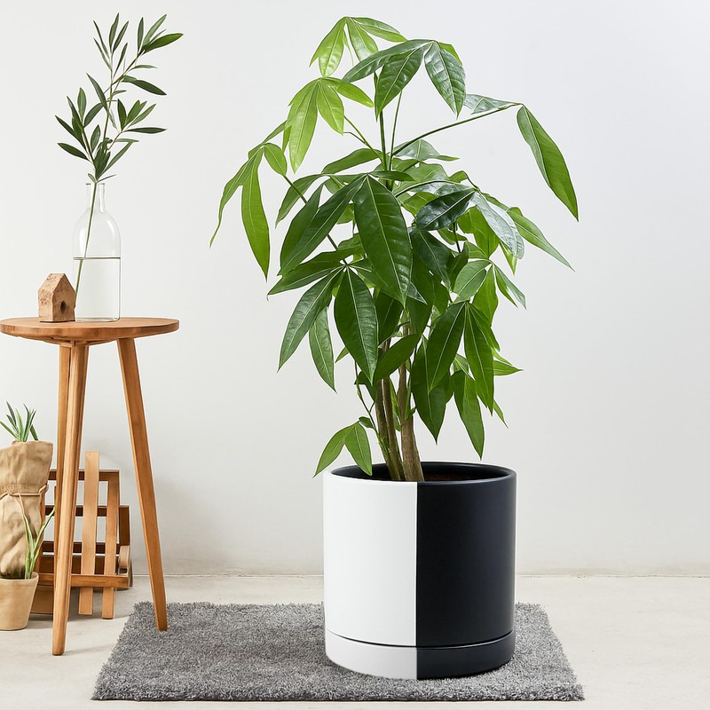 D'vine Dev 10 Inch Ceramic Planter Pot with Drainage Hole
