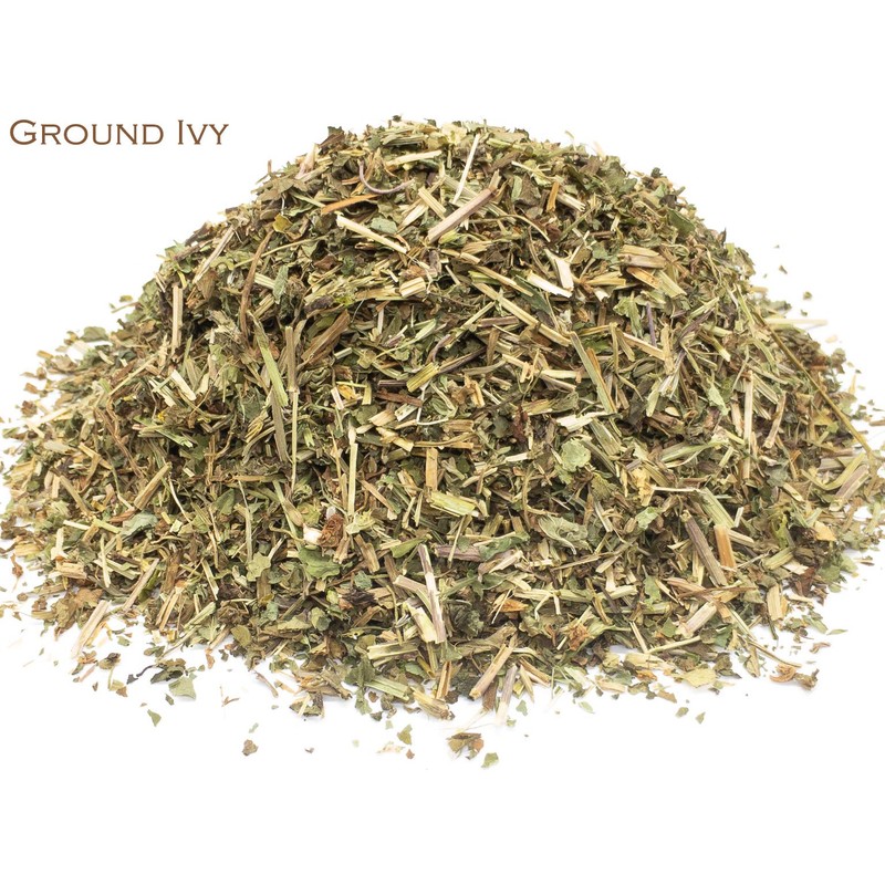 Ground Ivy and Black Tea Herbal Infusion (Afternoon Tea -