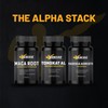 BioRevive - Alpha Stack - 3 in 1 Combo