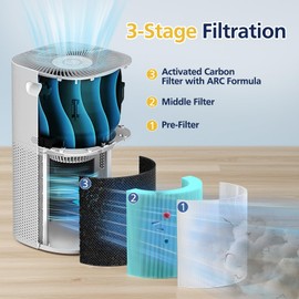 Core 600S Toxin Absorber Replacement Filter for LEVOIT Core 600S & Core 600S-P Smart Air Purifiers, Core 600S-RF-TX, Green, 2 Pack