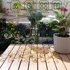 Monstera Plant Support, Durable Iron Plant Stem Supports, Plant Stabilizer