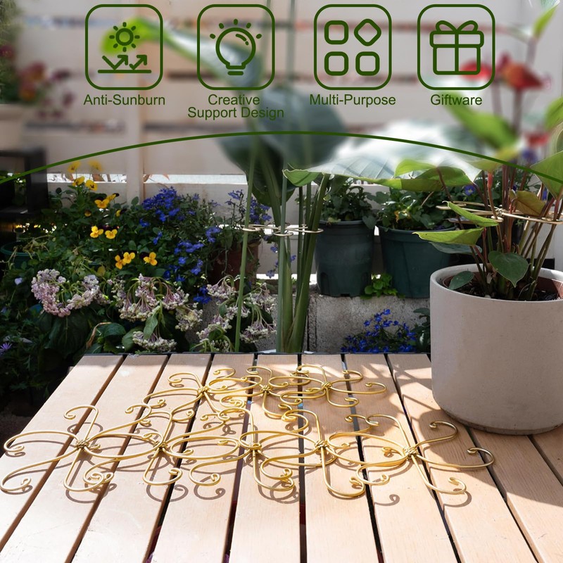 Monstera Plant Support, Durable Iron Plant Stem Supports, Plant Stabilizer