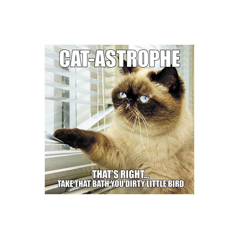 Cat-Astrophe