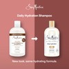 SHEA MOISTURE Daily Hydration Shampoo, Blanco, Coco, 384 Mililitro