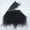 Sowder Ostrich Feather Trim Fringe Sewing Ribbon for Wedding Crafts